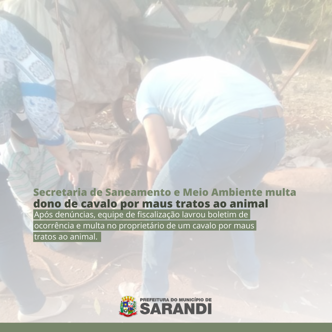 Secretaria de Saneamento e Meio Ambiente multa dono de cavalo por maus tratos ao animal